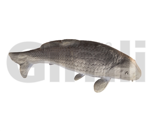 Eleven Target 3D Carp